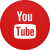 Descarcă video